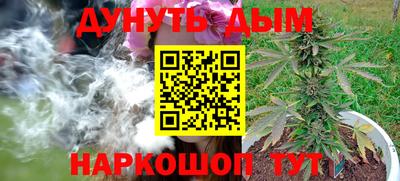 мдпв Славгород