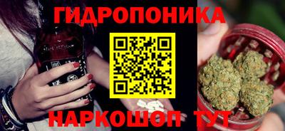 сатива Сланцы