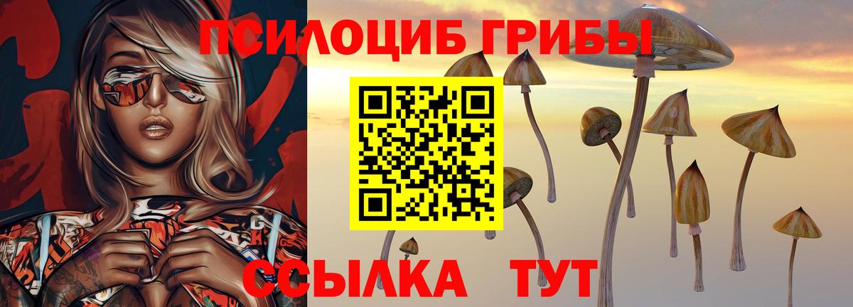 Cocaine Отрадное